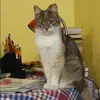 Отзыв от Татьяна Колосова